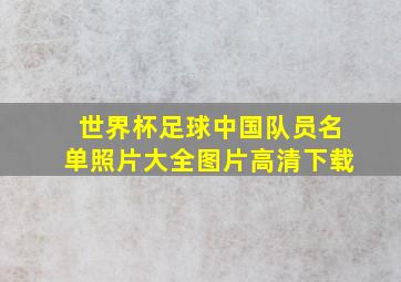 世界杯足球中国队员名单照片大全图片高清下载