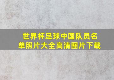 世界杯足球中国队员名单照片大全高清图片下载