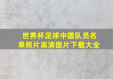 世界杯足球中国队员名单照片高清图片下载大全