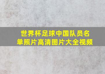 世界杯足球中国队员名单照片高清图片大全视频