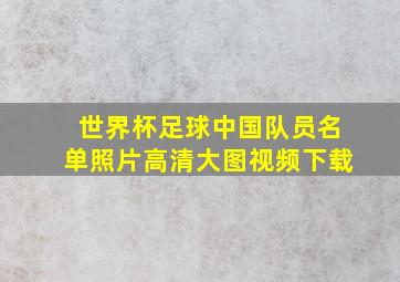 世界杯足球中国队员名单照片高清大图视频下载