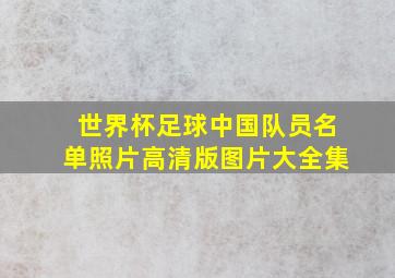 世界杯足球中国队员名单照片高清版图片大全集