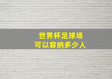 世界杯足球场可以容纳多少人