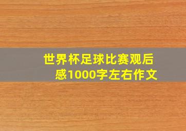 世界杯足球比赛观后感1000字左右作文