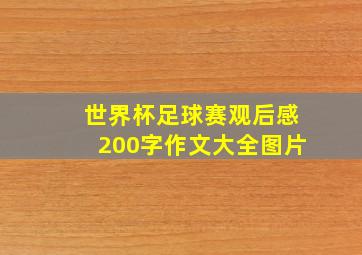 世界杯足球赛观后感200字作文大全图片