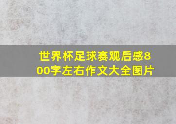 世界杯足球赛观后感800字左右作文大全图片