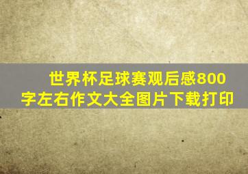 世界杯足球赛观后感800字左右作文大全图片下载打印