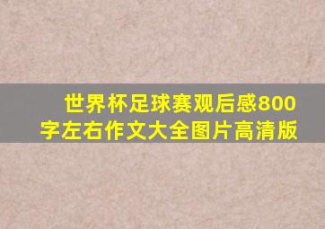 世界杯足球赛观后感800字左右作文大全图片高清版