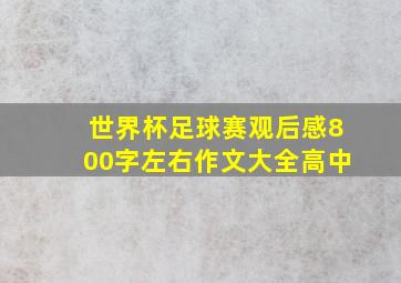 世界杯足球赛观后感800字左右作文大全高中