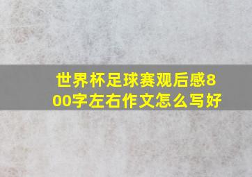 世界杯足球赛观后感800字左右作文怎么写好