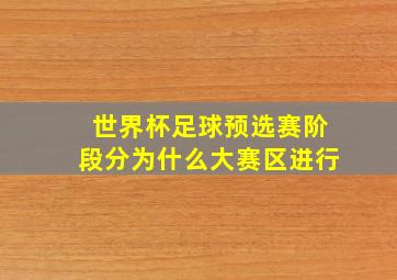 世界杯足球预选赛阶段分为什么大赛区进行