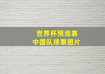 世界杯预选赛中国队球票图片