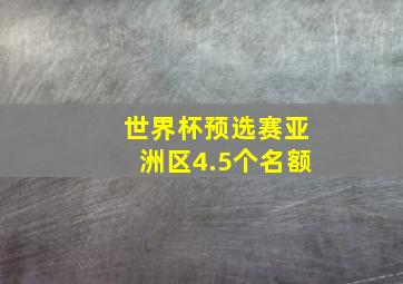 世界杯预选赛亚洲区4.5个名额