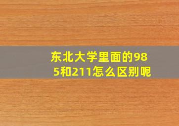 东北大学里面的985和211怎么区别呢