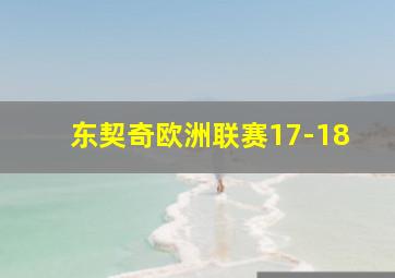 东契奇欧洲联赛17-18