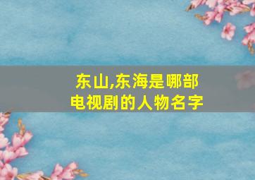 东山,东海是哪部电视剧的人物名字