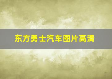 东方勇士汽车图片高清