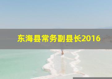 东海县常务副县长2016