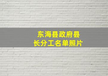 东海县政府县长分工名单照片