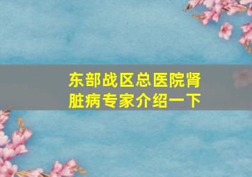 东部战区总医院肾脏病专家介绍一下