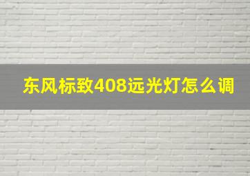 东风标致408远光灯怎么调