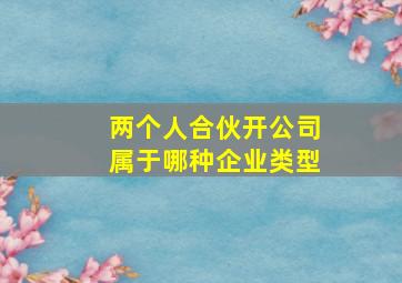 两个人合伙开公司属于哪种企业类型