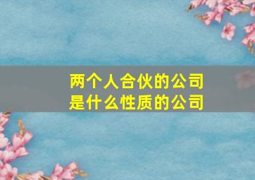 两个人合伙的公司是什么性质的公司