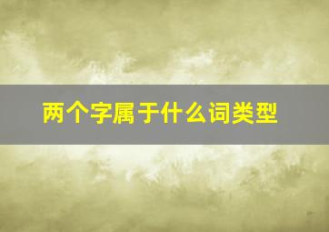 两个字属于什么词类型