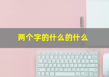 两个字的什么的什么