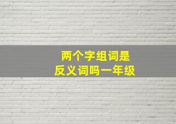 两个字组词是反义词吗一年级