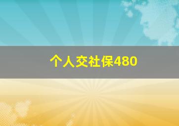 个人交社保480