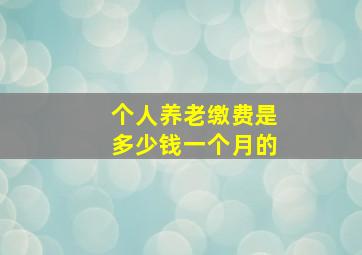 个人养老缴费是多少钱一个月的