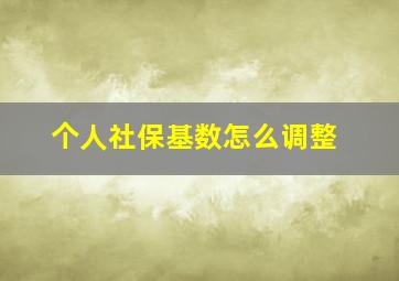 个人社保基数怎么调整