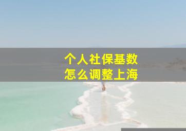 个人社保基数怎么调整上海