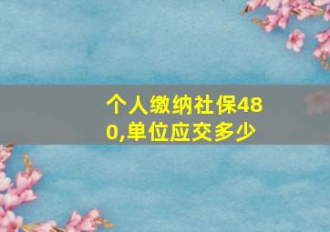 个人缴纳社保480,单位应交多少