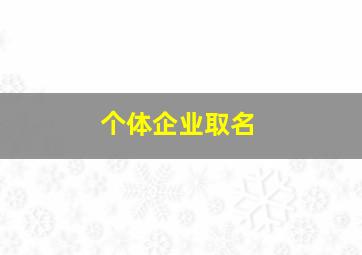 个体企业取名