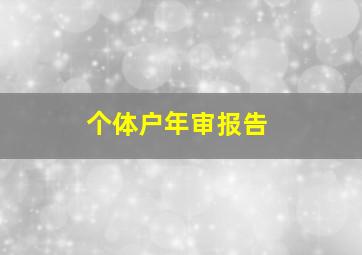 个体户年审报告