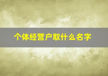 个体经营户取什么名字