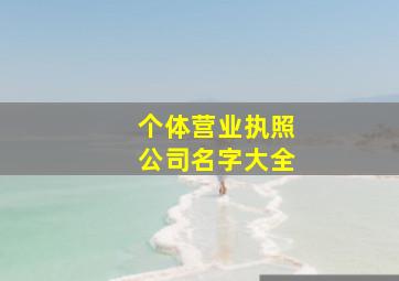 个体营业执照公司名字大全