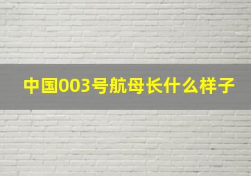 中国003号航母长什么样子