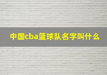 中国cba篮球队名字叫什么