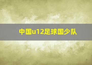 中国u12足球国少队