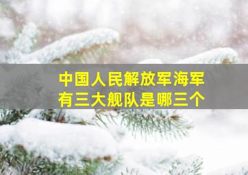 中国人民解放军海军有三大舰队是哪三个