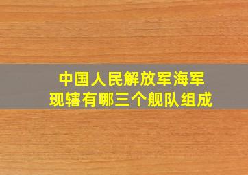 中国人民解放军海军现辖有哪三个舰队组成