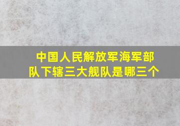 中国人民解放军海军部队下辖三大舰队是哪三个