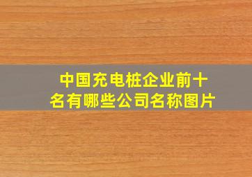 中国充电桩企业前十名有哪些公司名称图片