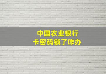 中国农业银行卡密码锁了咋办