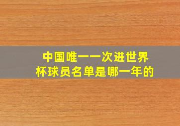 中国唯一一次进世界杯球员名单是哪一年的