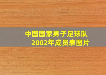 中国国家男子足球队2002年成员表图片