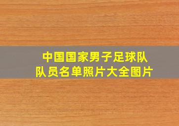 中国国家男子足球队队员名单照片大全图片